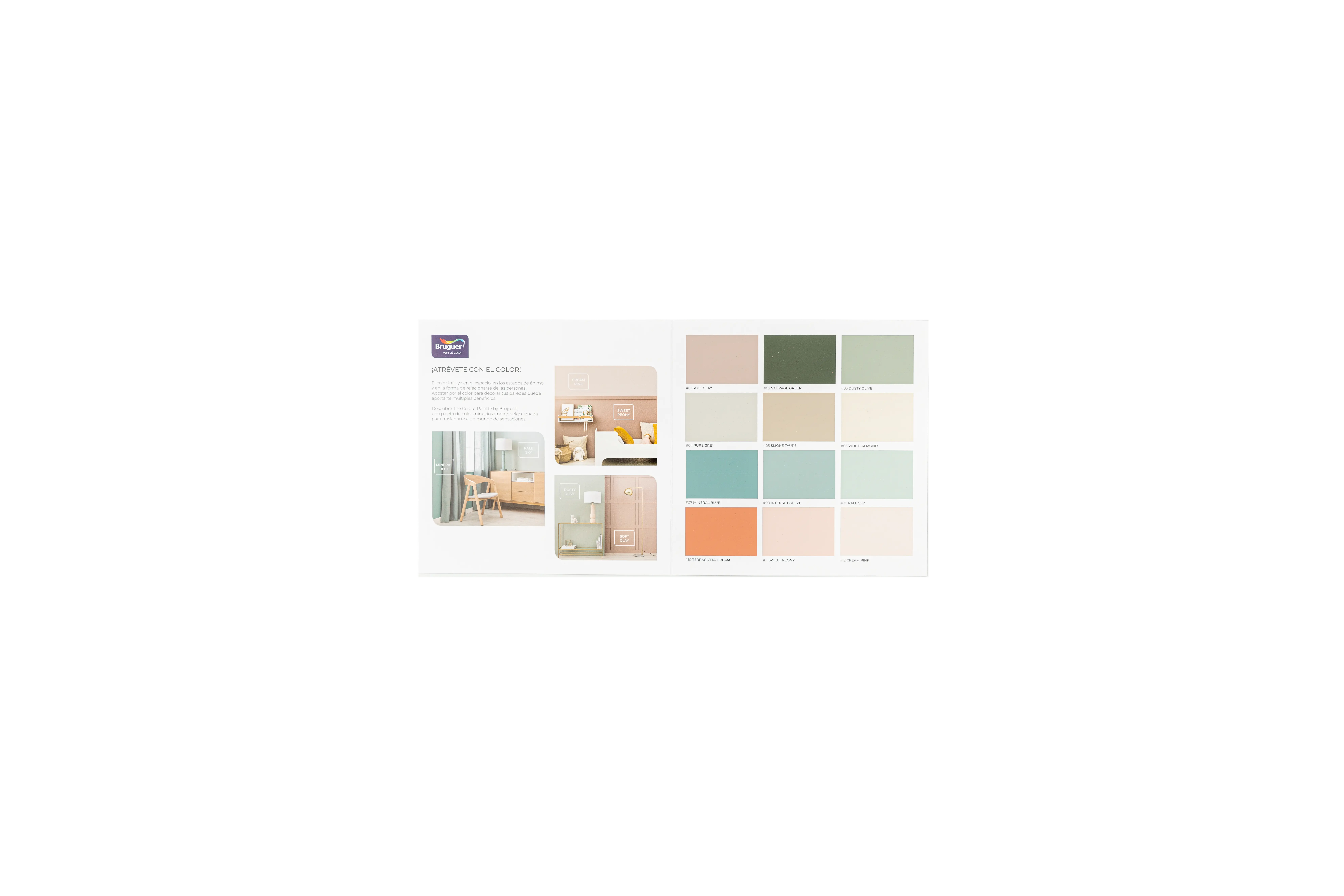color-card-7